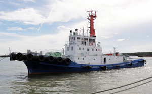 Kamiya and Haivanship 06 cooperation