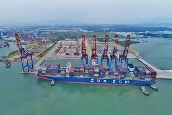 CMA CGM MEXICO (366m length) - berthing at Gemalink port