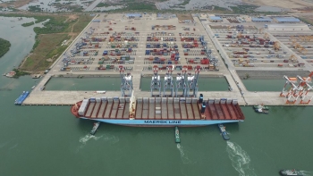 Haivanship tug assist Biggest container ship Margrethe Maersk 400m - 18.000Teu berth at CMIT-Vietnam