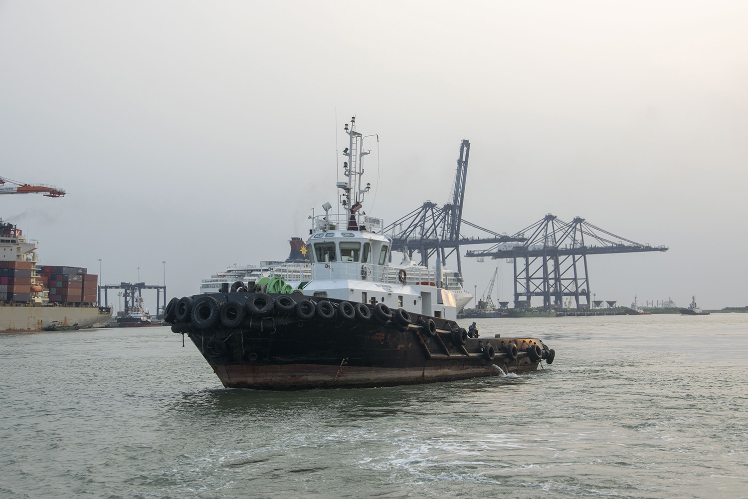 Sea Champion