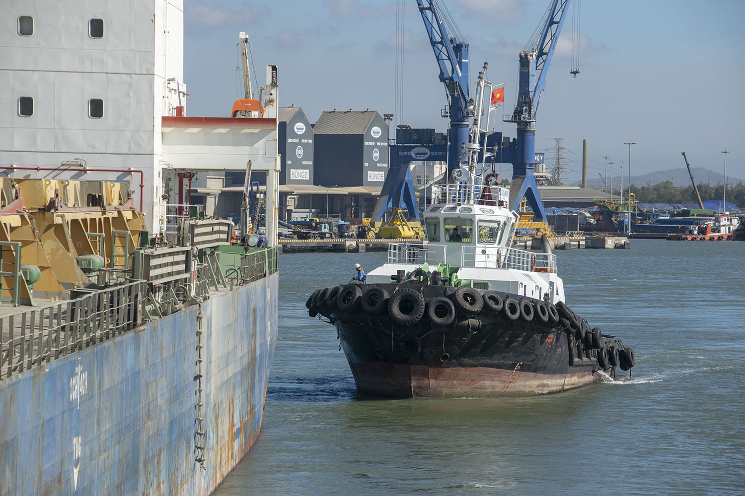 Sea Champion