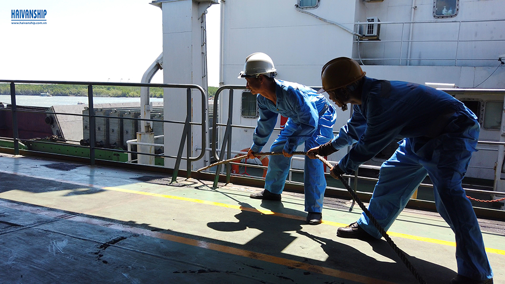 Stevedore working on vessel GERTRUDE OLDENDORFF for discharging coal Discharging coal in vietnam
