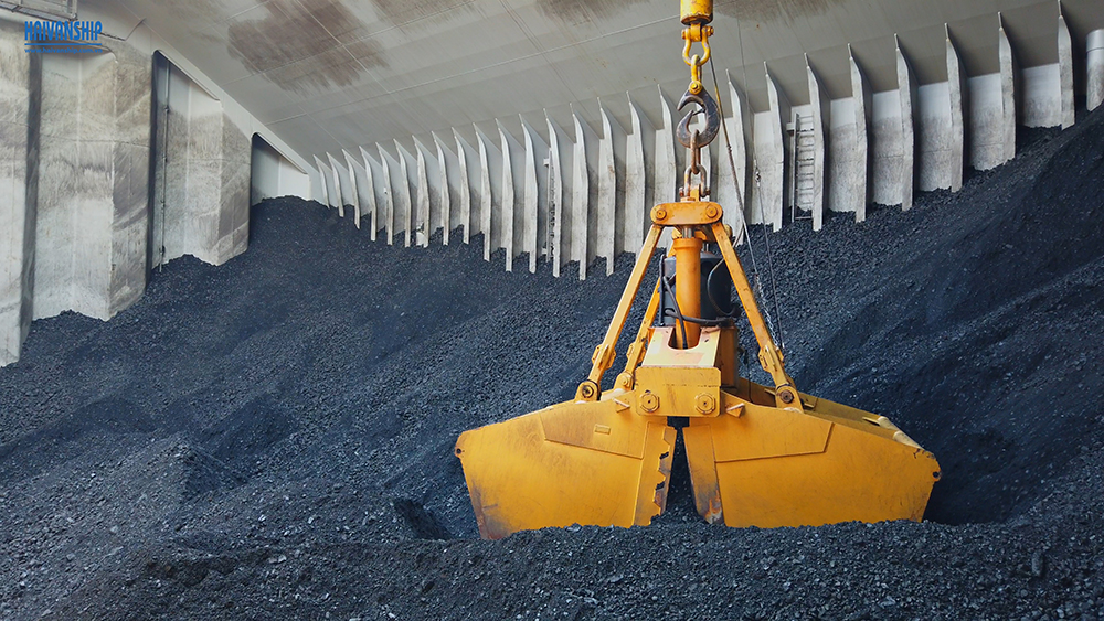 Stevedore working on vessel GERTRUDE OLDENDORFF for discharging coal Discharging Coal in vietnam