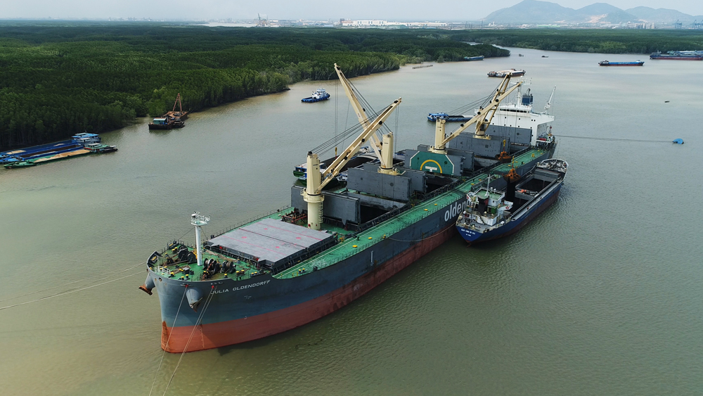 Stevedore working on vessel GERTRUDE OLDENDORFF for discharging coal Discharging coal in vietnam