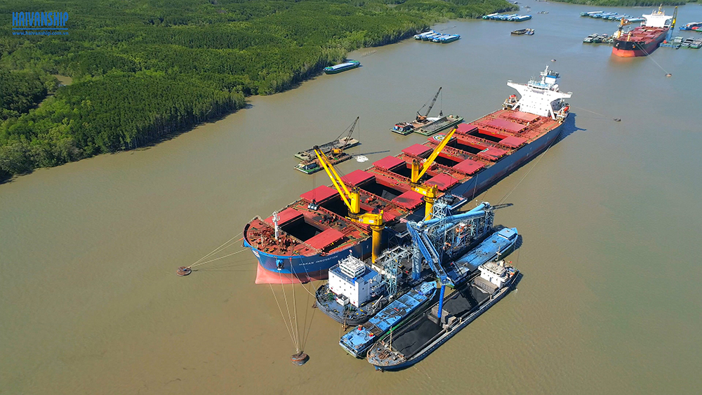 Discharging coal in vietnam