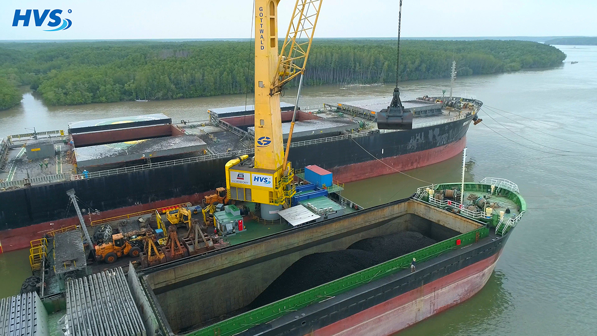 Discharging coal in vietnam